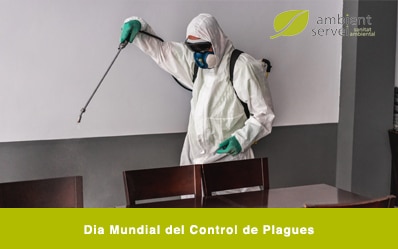 Dia Mundial del Control de Plagues