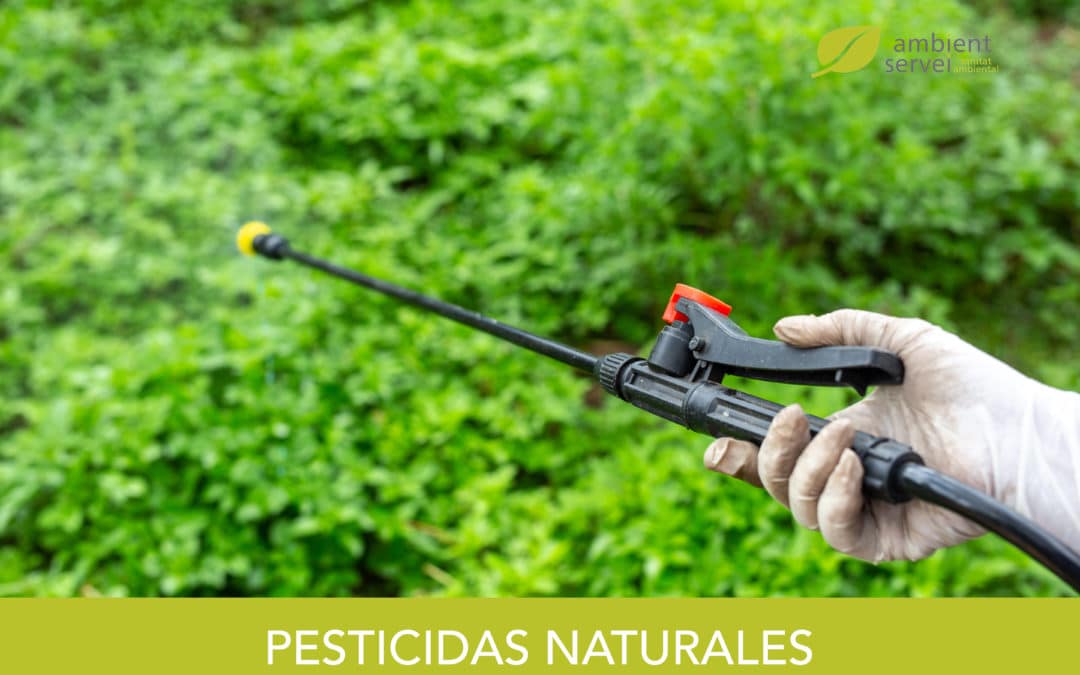 Pesticidas naturales