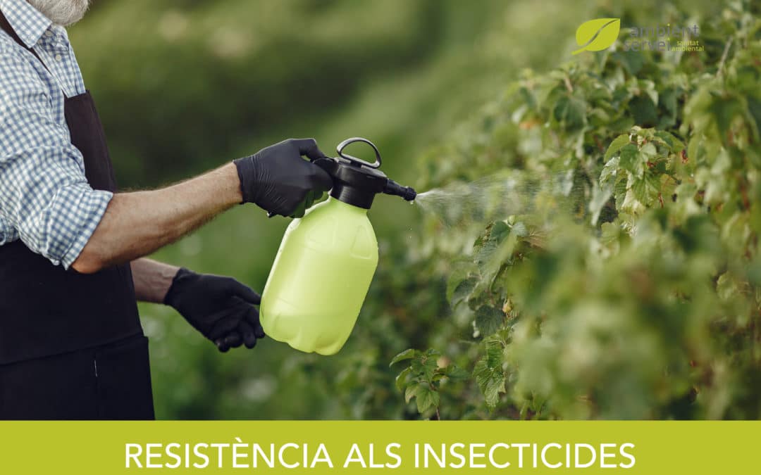 Resistència als insecticides